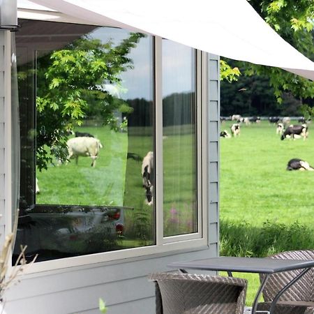 Panorama Box Op Camping De Stal Drijber Exterior photo