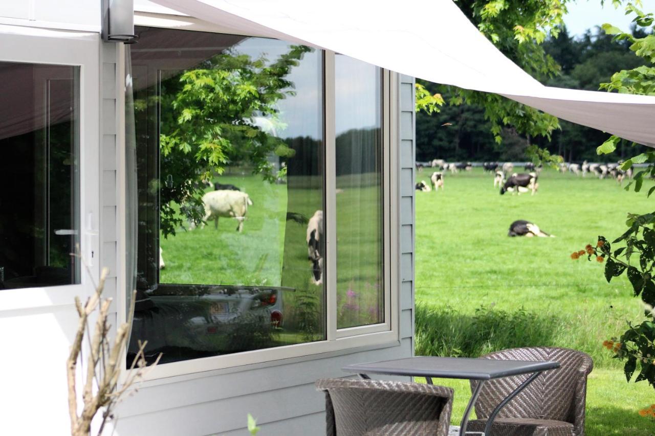 Panorama Box Op Camping De Stal Drijber Exterior photo